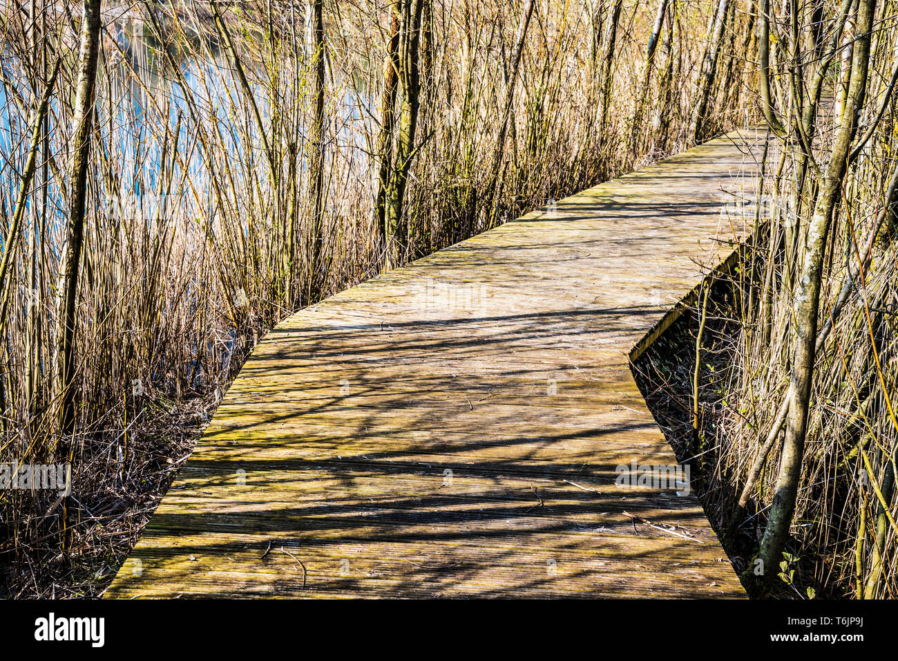Una passerella su uno dei laghi a Cotswold Water Park. Foto Stock