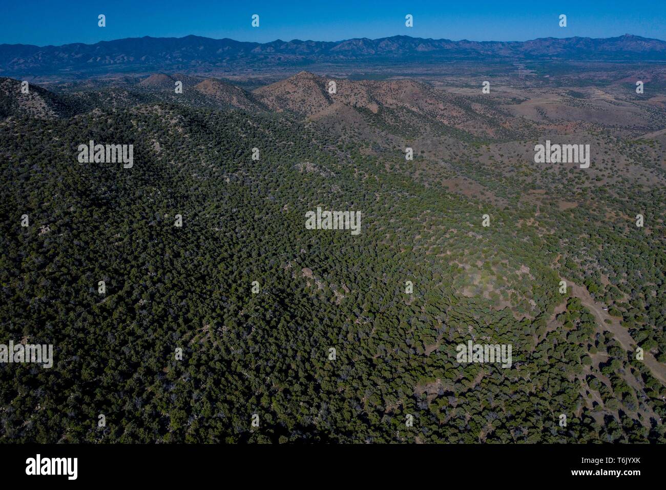 Vista aerea della Sierra Chivato e Rancho Los Alisos nel territorio del comune di Santa Cruz sonora durante la scoperta Madrean Expedition. GreaterGood.org (Foto: LuisGutierrez / NortePhoto).. Vista aerea de la Sierra Chivato y rancho Los Alisos en el municipio de Santa Cruz Sonora durate la scoperta Madrean Expedition. GreaterGood.org (foto:LuisGutierrez/NortePhoto) Foto Stock