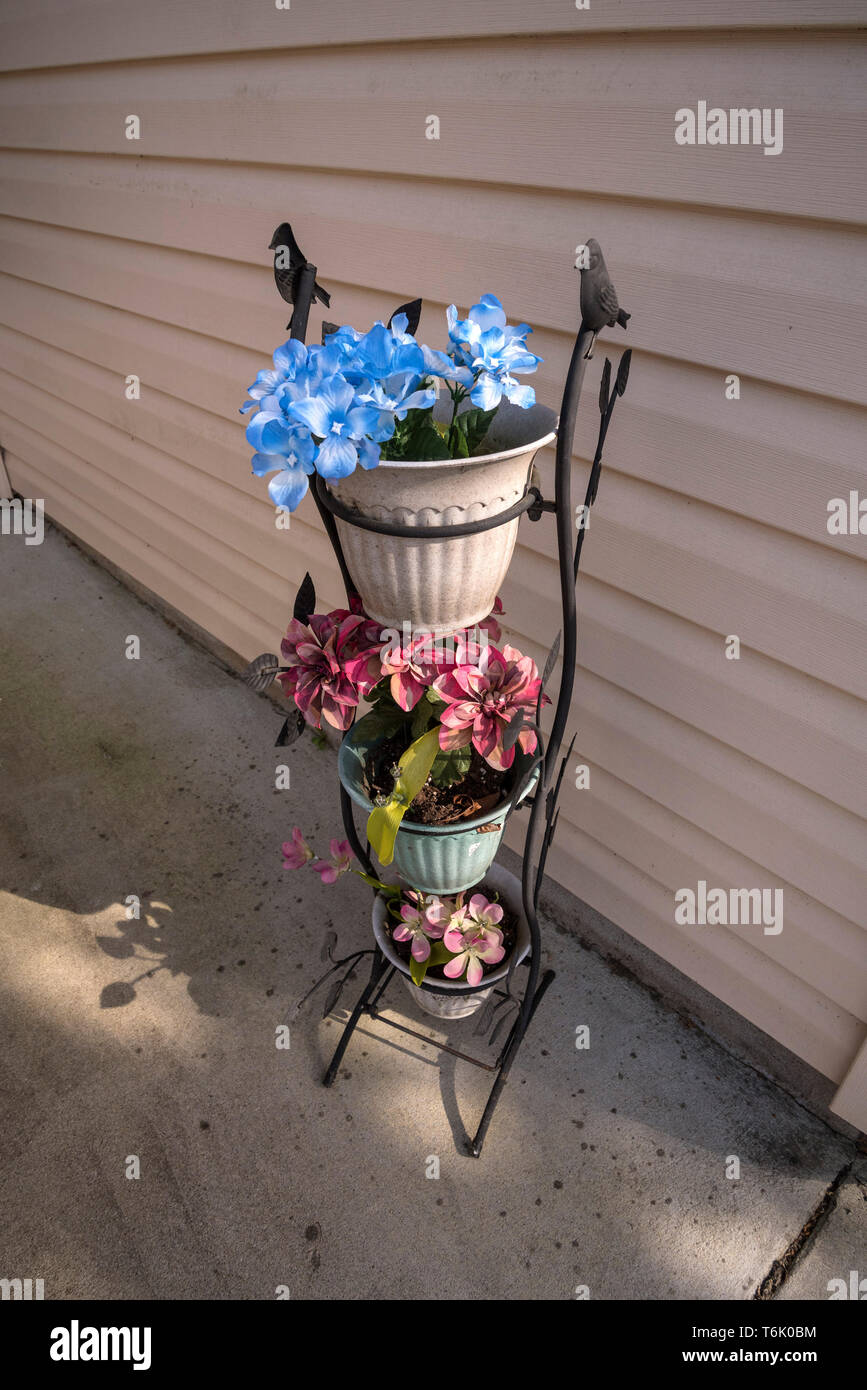 Vasi di fiori decorano ingresso di una casa. Foto Stock