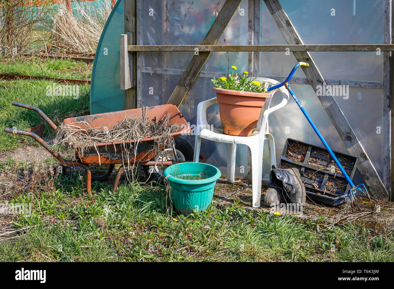 Rusty carriola in plastica bianca sedile, stivali neri e utensili da giardinaggio al di fuori di un giardino cloche, Kilwinning, Scozia Foto Stock