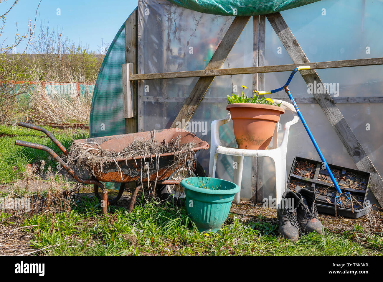 Rusty carriola in plastica bianca sedile, stivali neri e utensili da giardinaggio al di fuori di un giardino cloche, Kilwinning, Scozia Foto Stock