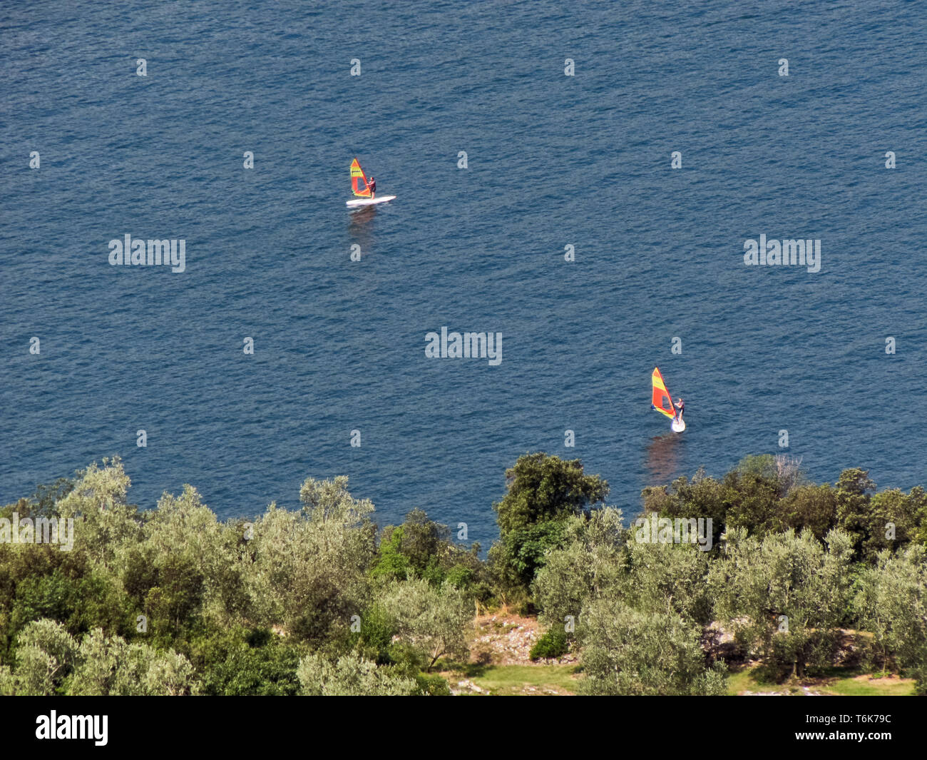 Windsurf sul lago di Garda nei pressi di Malcesine. Sulla costa, uliveti. [Ita] olivi e windsurf sul Lago di Garda nei pressi di Malcesine. Foto Stock