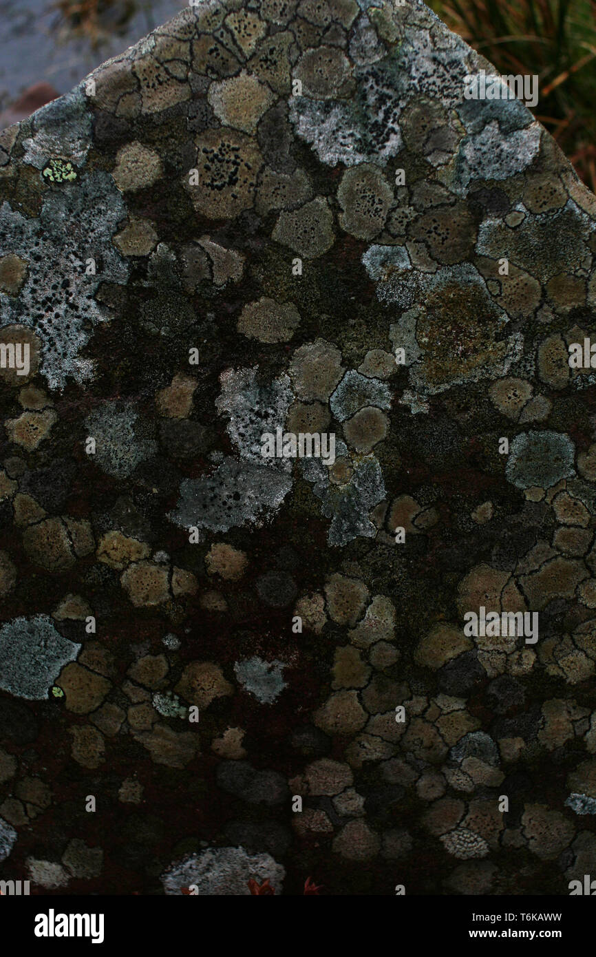 Il Lichen modellato Rock West Coast Highlands Foto Stock