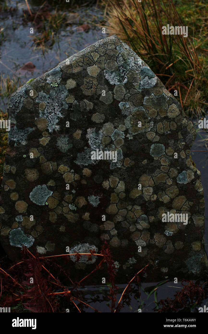 Il Lichen modellato Rock West Coast Highlands Foto Stock