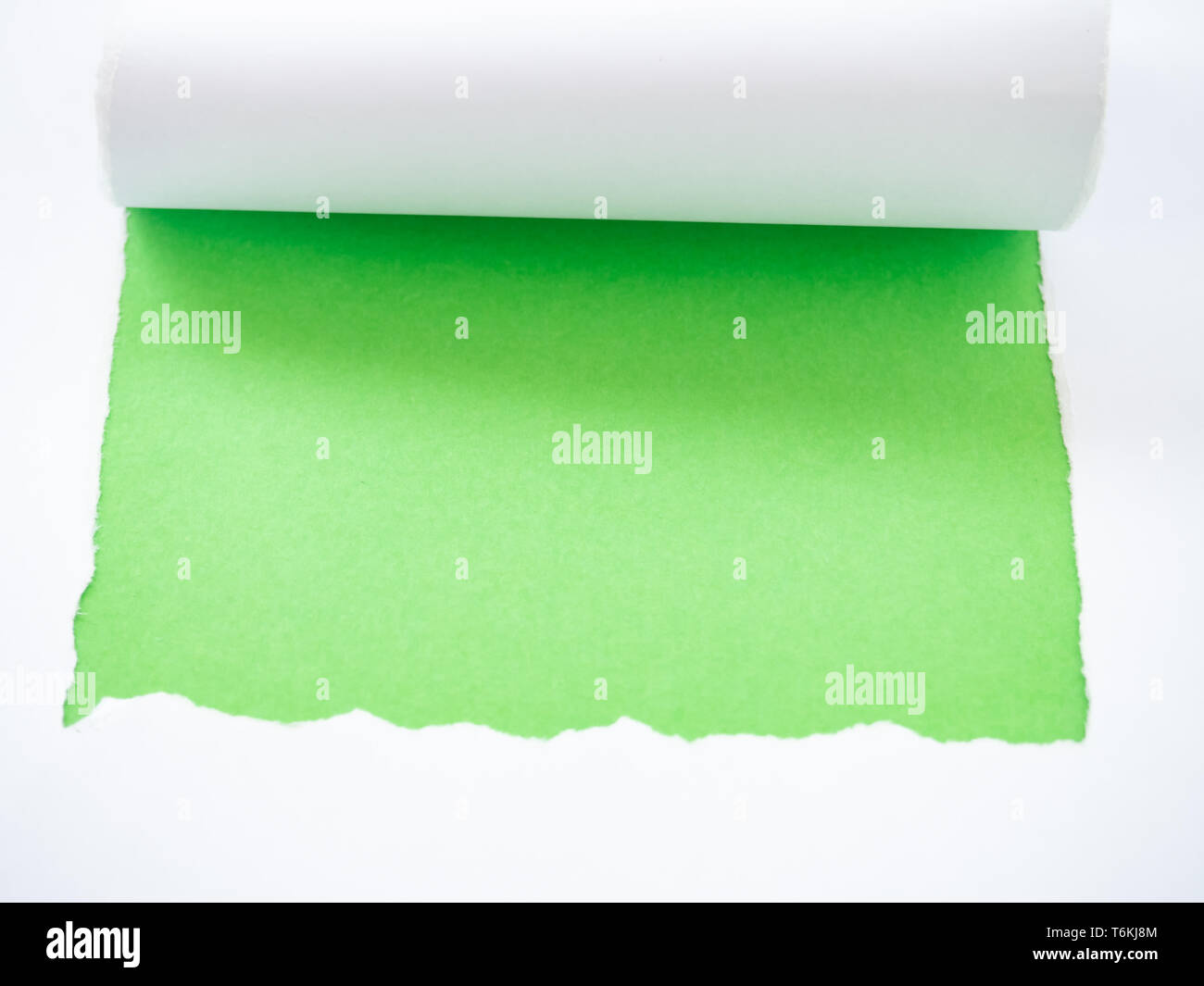 Strappato carta bianca isolata su verde Foto Stock