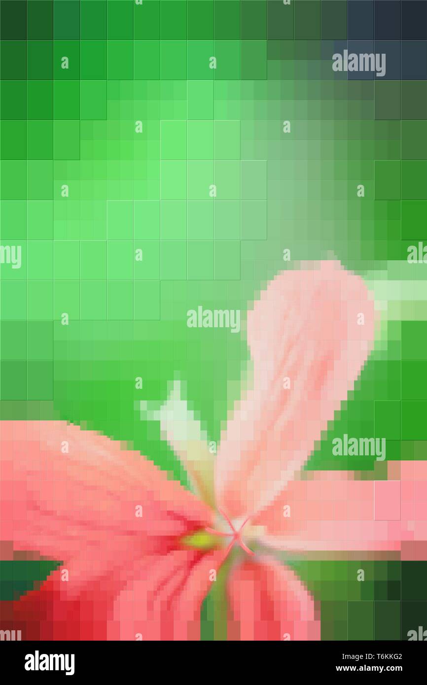 Composizione fiore su sfondo verde. Sfocatura. L'effetto dei rettangoli. Foto Stock