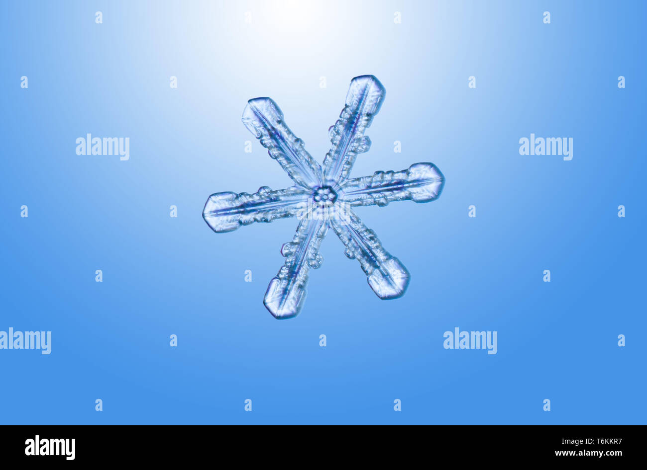 Nord America; Stati Uniti; Alaska; inverno; freddo; neve; il simbolo del fiocco di neve; Foto macro Foto Stock