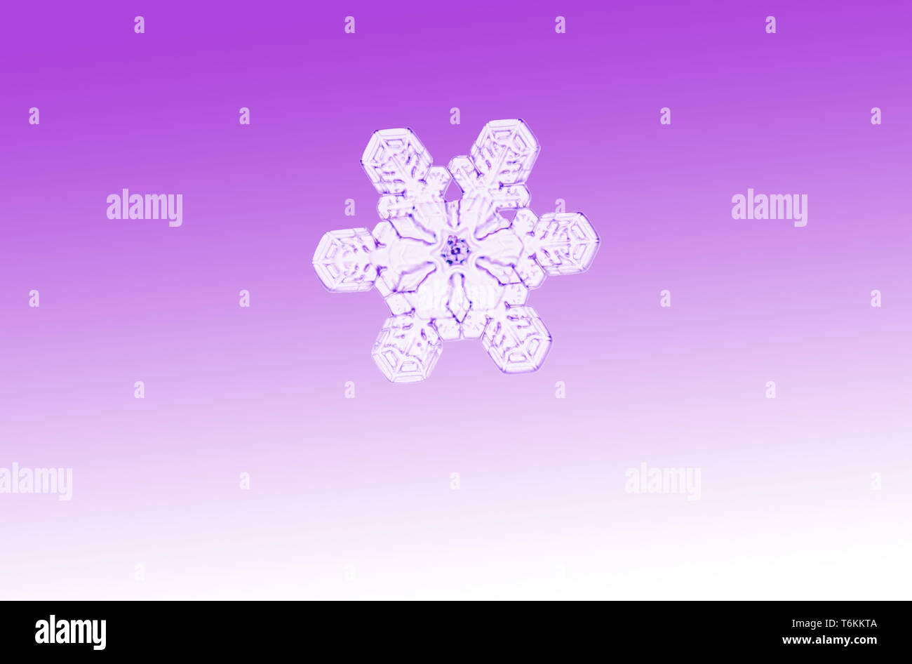 Nord America; Stati Uniti; Alaska; inverno; freddo; neve; il simbolo del fiocco di neve; Foto macro Foto Stock