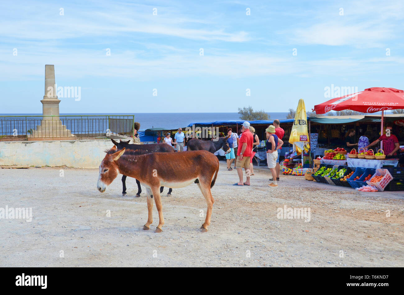 Dipkarpaz, turca di Cipro Nord - 3 OTT 2018: asini selvatici in piedi sulla strada di sabbia. Mercato della frutta stand ed i turisti a piedi da in background. Gli animali sono locali curiosità. Foto Stock