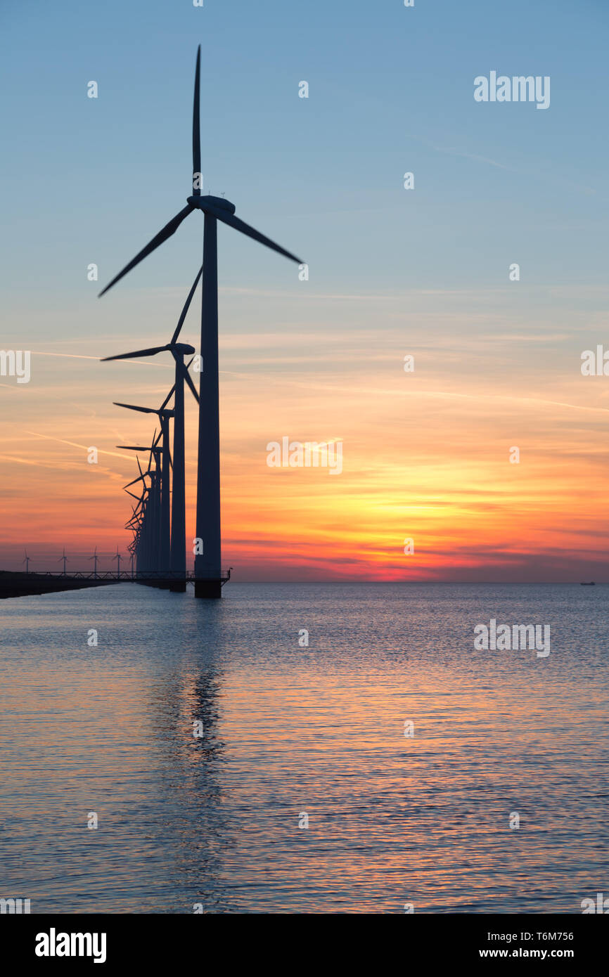 Lunga fila di windturbines con il tramonto sul mare Foto Stock
