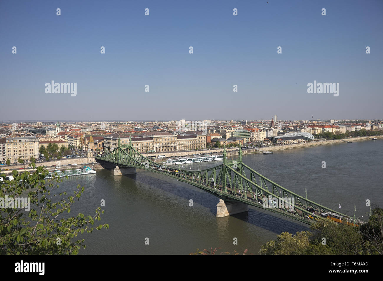 Ponte della Libertà a Budapest visto dalla collina di Gellert. Ampio angolo di visione. Foto Stock