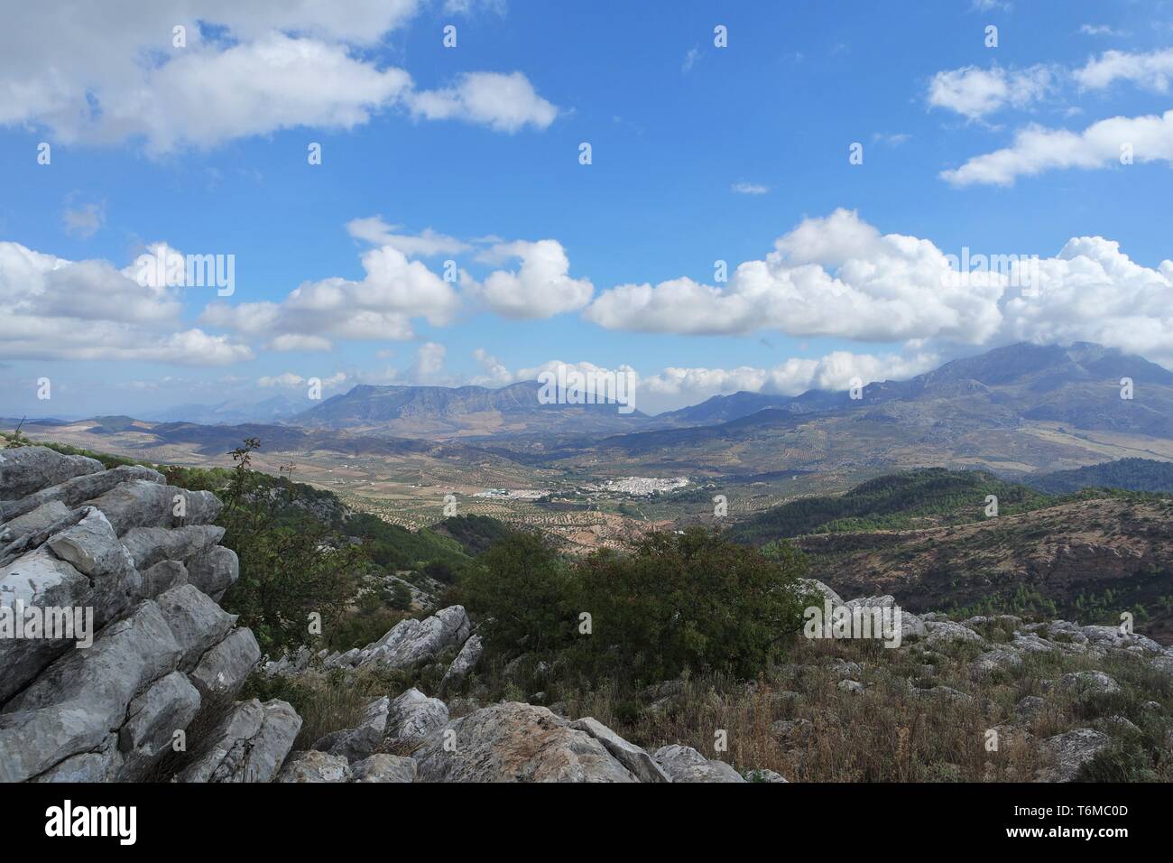 Sierra de las Nieves Parco naturale Foto Stock