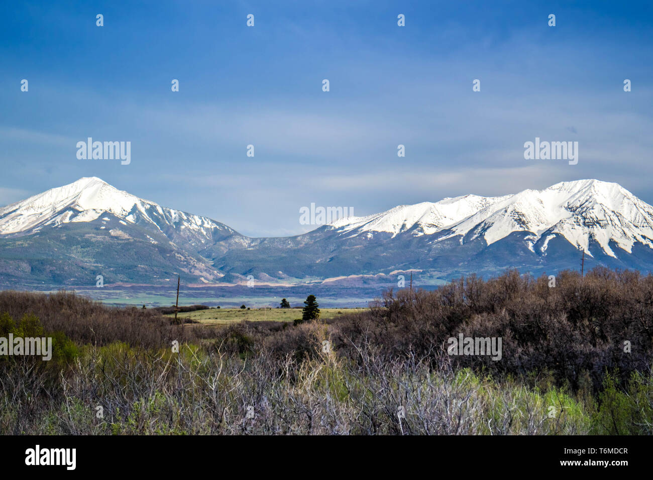 Grandi dune di sabbia del Parco Nazionale e preservare, Colorado Foto Stock