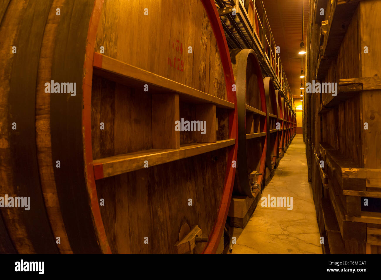 La vinificazione in Italia barili CANTINA Foto Stock