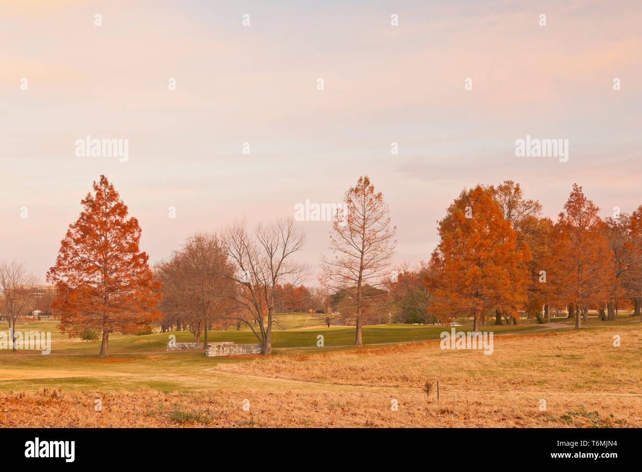 Il tramonto e i colori autunnali blend oltre le Highlands Golf Center di San Louis Forest Park, dotato di cipresso calvo alberi e cirrus nuvole. Foto Stock
