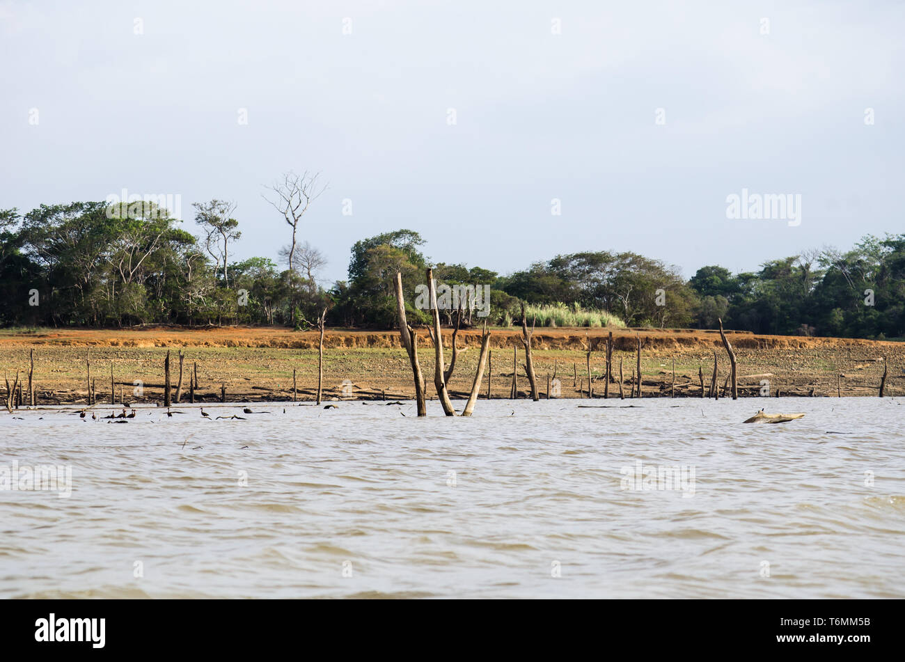 La siccità che colpisce è il lago di Alajuela e Fiume Chagres che fornisce la maggior parte dell'acqua necessaria per far funzionare il Panama. Foto Stock