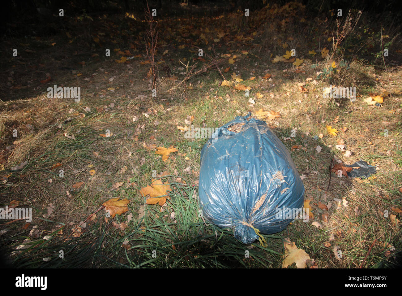 Inquinamento ambientale Foto Stock