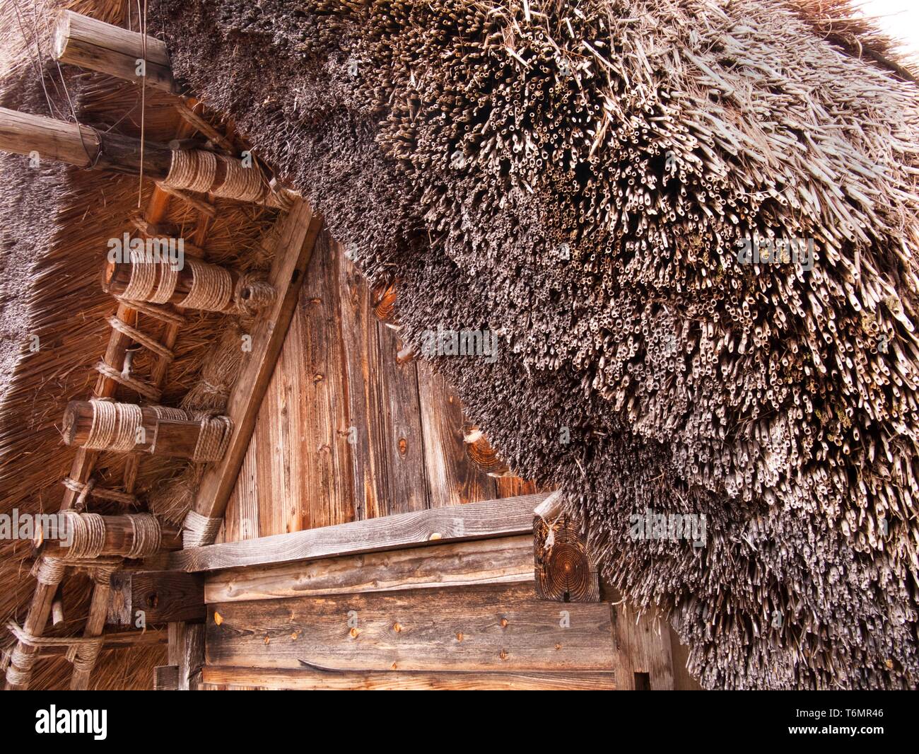 Shirakawago è UNESCO storica e tradizionale villaggio giapponese, Giappone Foto Stock