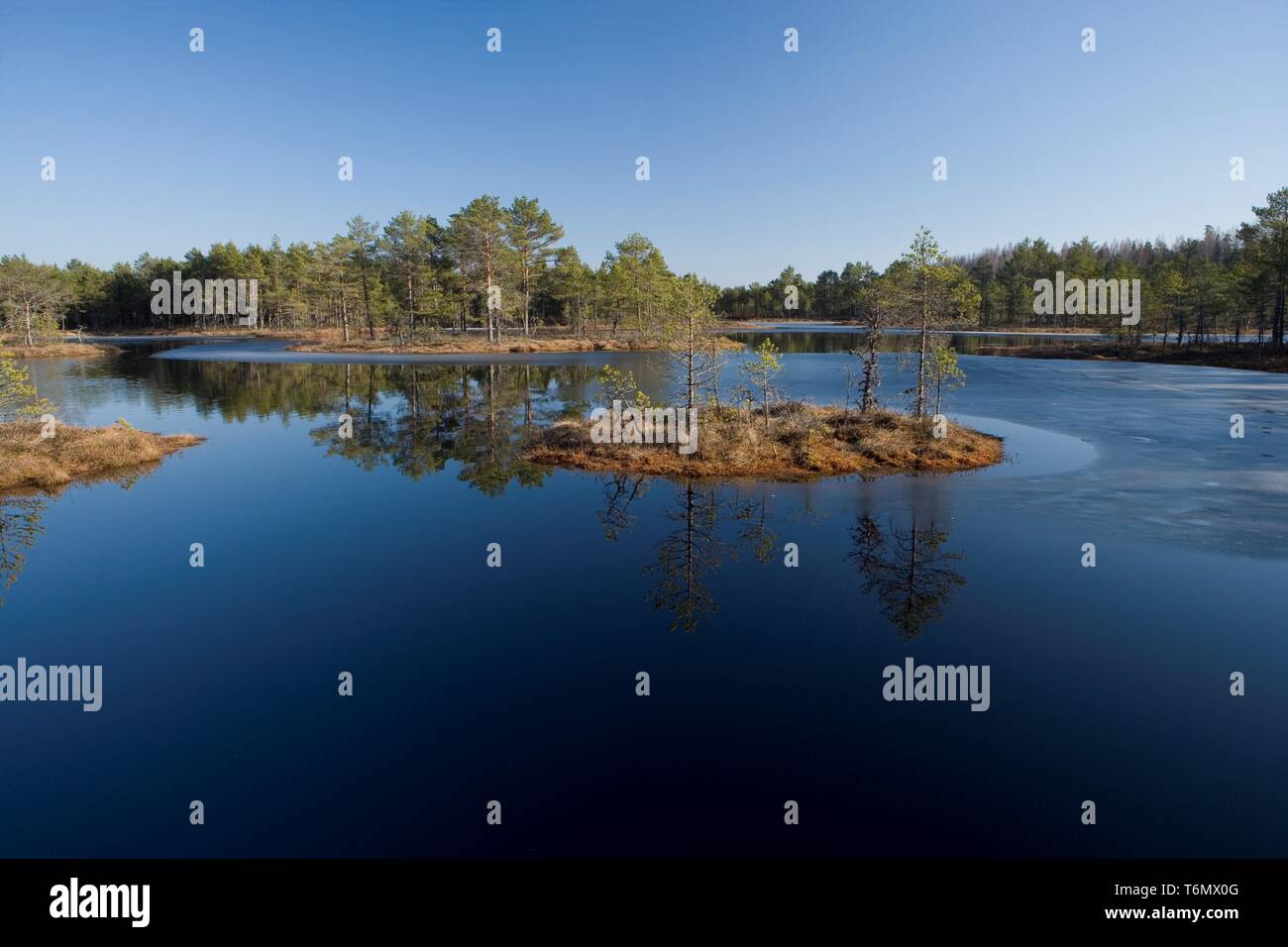 Molla in PÃµhja-KÃµrvemaa, Suursoo Foto Stock
