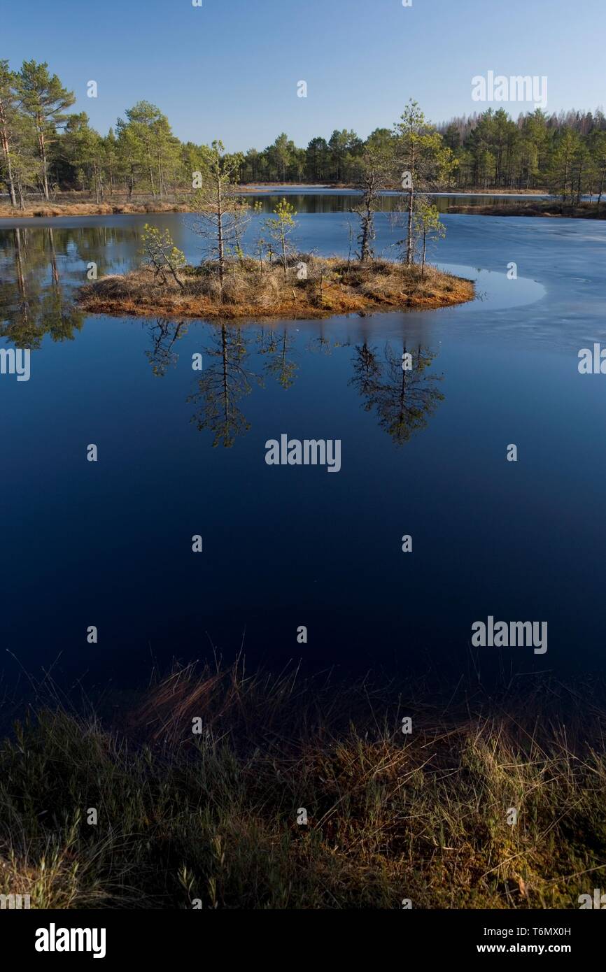 Molla in PÃµhja-KÃµrvemaa, Suursoo Foto Stock