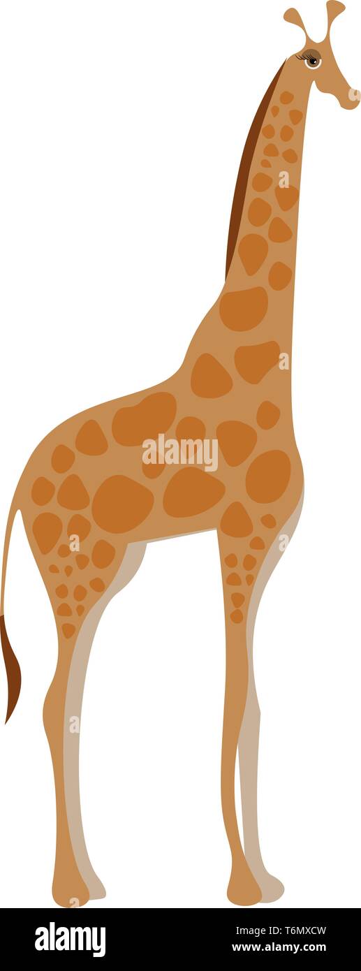 Disegno di una giraffa illustrazione vettoriale Illustrazione Vettoriale