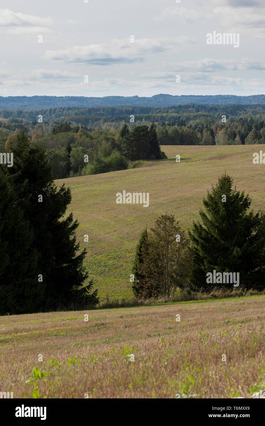 Paesaggio in Valga county, Southern Estonia Foto Stock