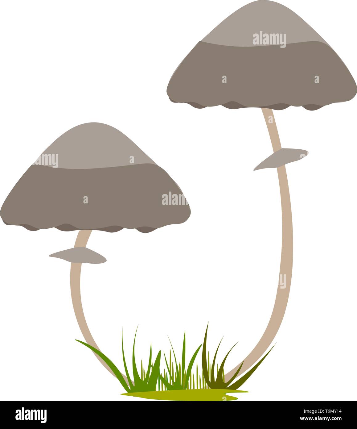 Due funghi illustrazione vettore su sfondo bianco Illustrazione Vettoriale