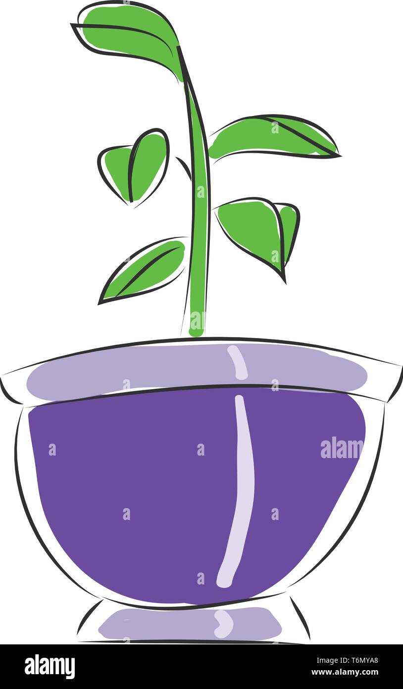Pentola con un piccolo fiore illustrazione vettore su sfondo bianco Illustrazione Vettoriale