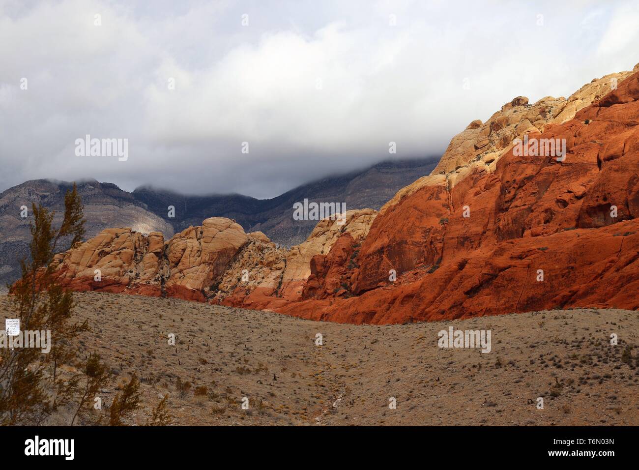 Il Red Rock Canyon scenario Foto Stock