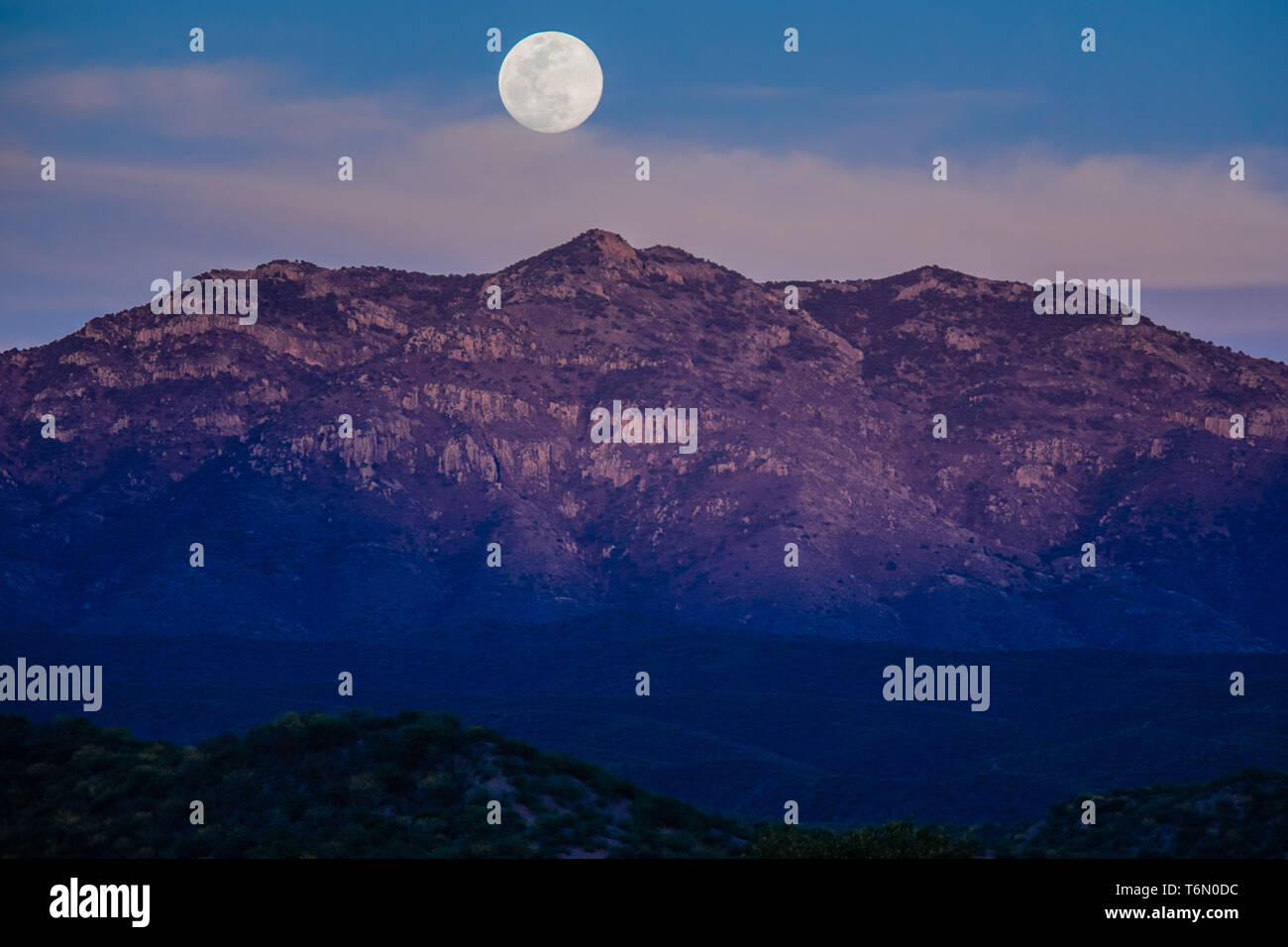 Luna piena vista sulle colline della Ruta de la Sierra e vicino Mazocahui nella Sierra Madre Occidental, giusto nel centro dello stato messicano di Sonora. Mazocahui proviene dall'ideologia Opata: Mazotcagui: 'Sierra del venado' (foto: Luisgutierrez / Nortephoto)... Luna llena vista sobre los Cerros de la Ruta de la Sierra e inmediaciones de Mazocahui en la Sierra Madre Occidental, justo en el centro del estado mexicano de Sonora. Mazocahui proviene dle ideoma ópata: Mazotcagui: 'Sierra del venado' (foto: Luis Gutierrez/Nortephoto) Foto Stock