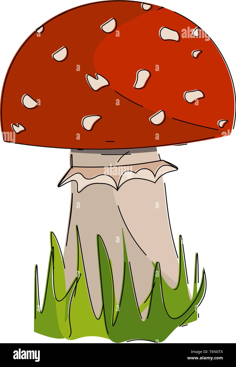 Una foto di un fungo di colore rosso del vettore di disegno a colori o illustrazione Illustrazione Vettoriale