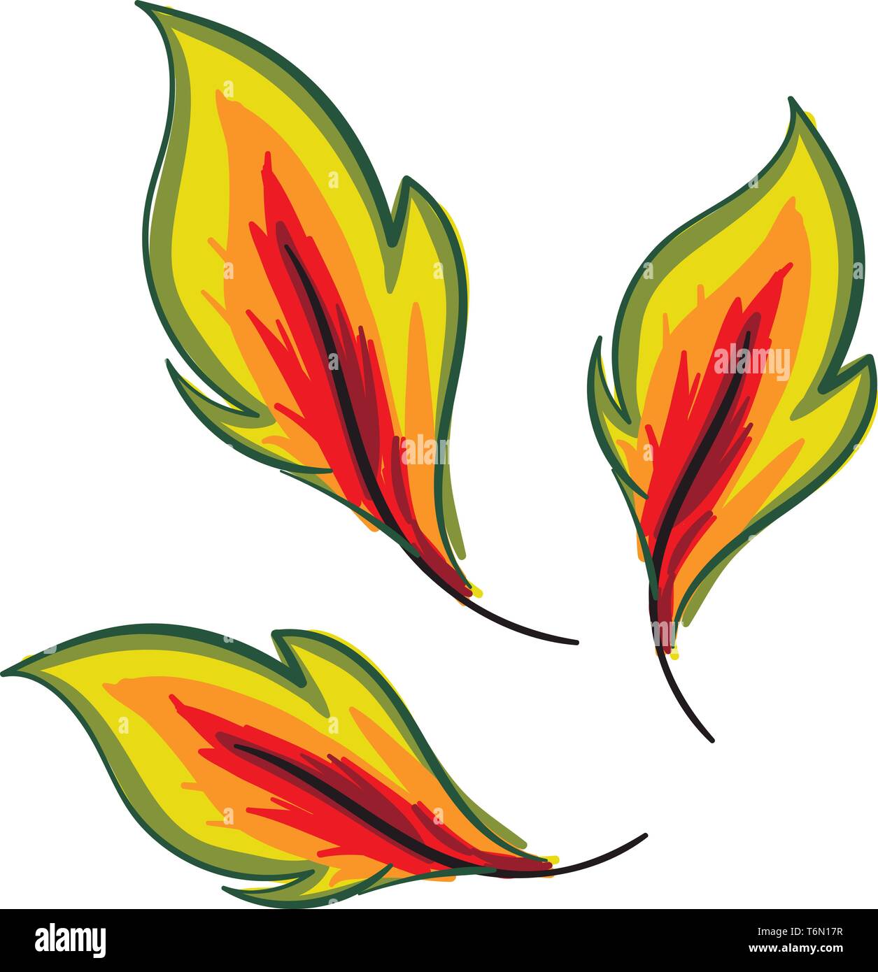 Clipart di tre foglie di autunno diventi giallo hanno un round-dentato ed il bordo dentellato del vettore di disegno a colori o illustrazione Illustrazione Vettoriale