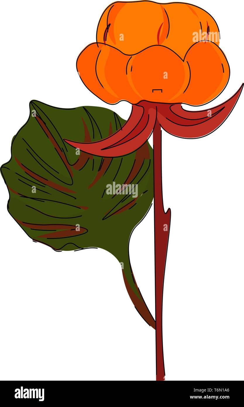 Nordic berry fiore in colore rosso chiaro con una foglia avente lobi handlike su un rettilineo branchless levetta marrone colore di vettore di disegno o illustrazione Illustrazione Vettoriale