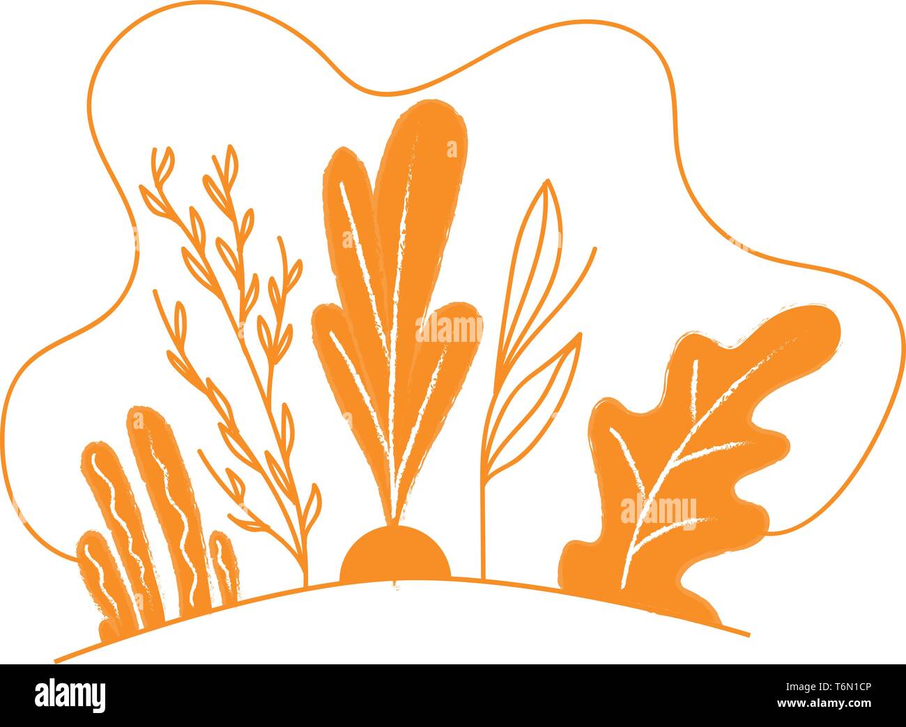 Clipart di piante e arbusti girando orange hanno un round-dentato ed il bordo dentellato del vettore di disegno a colori o illustrazione Illustrazione Vettoriale