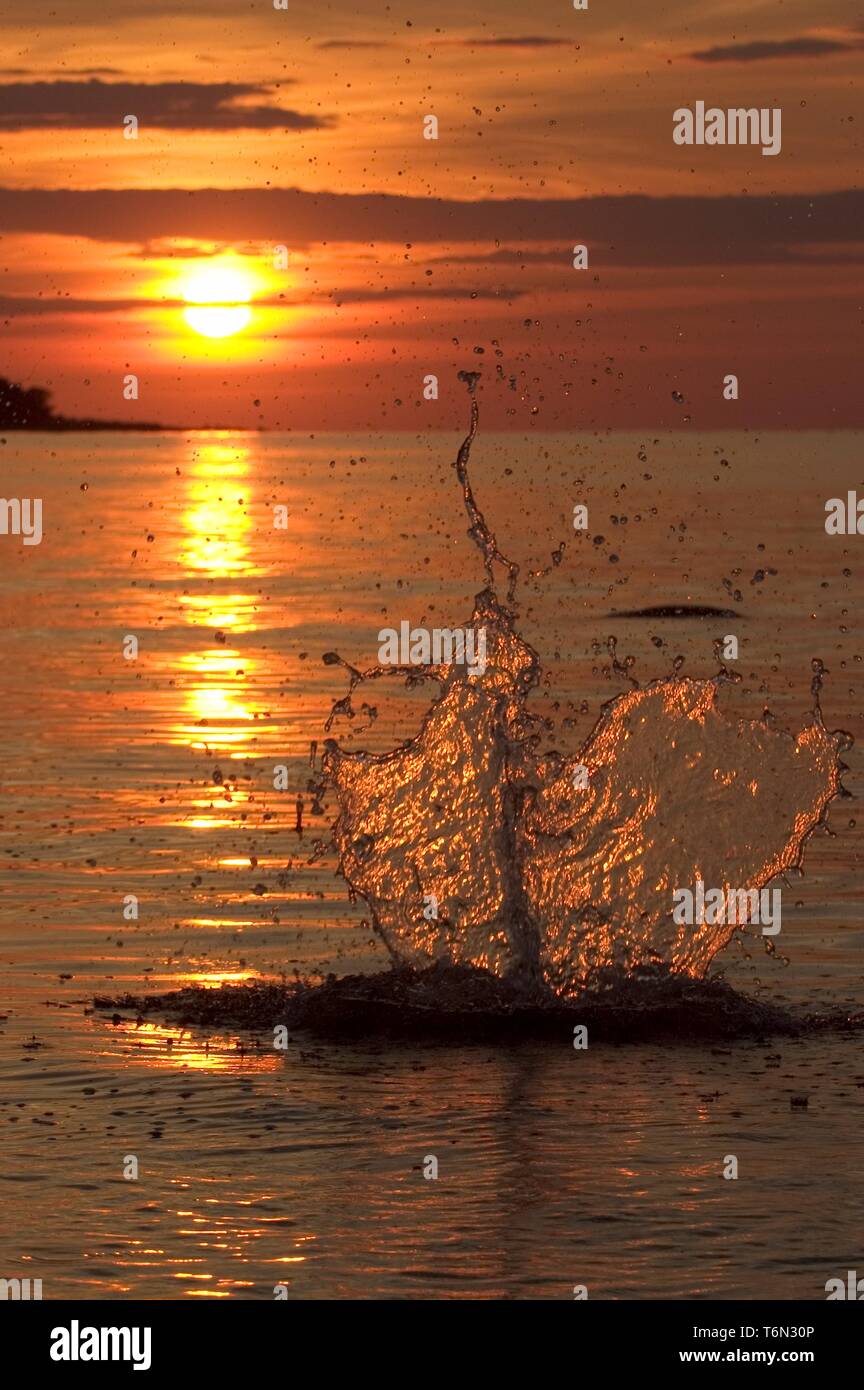 Un tuffo in acqua Foto Stock