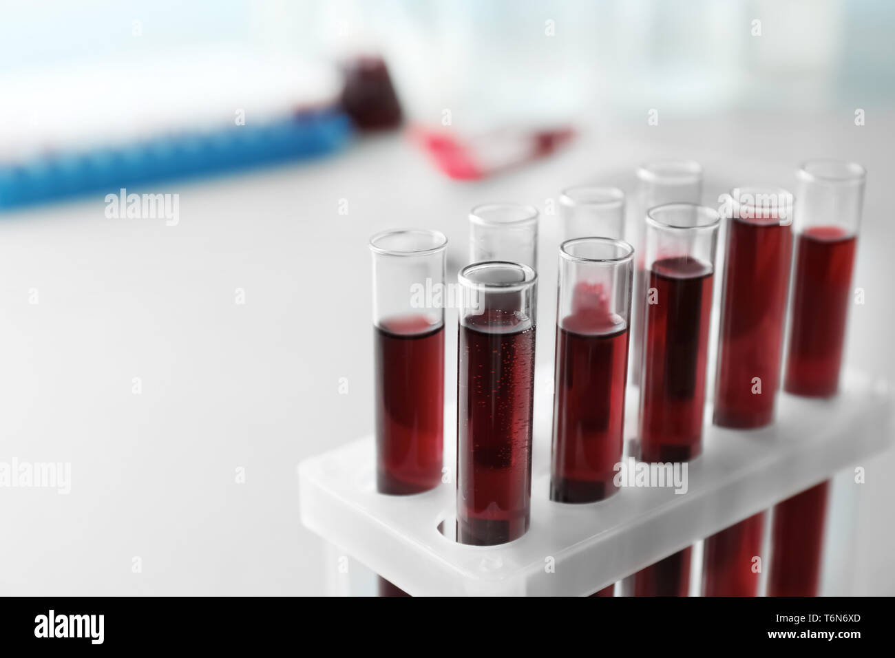 Provette con campioni di sangue nel supporto, primo piano Foto Stock