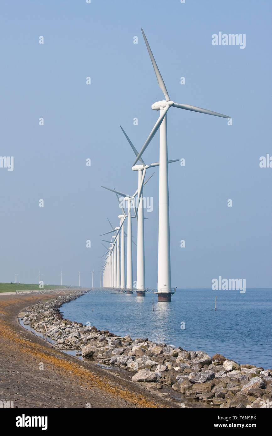 Lunga fila di mulini a vento, stando in mare olandese Foto Stock