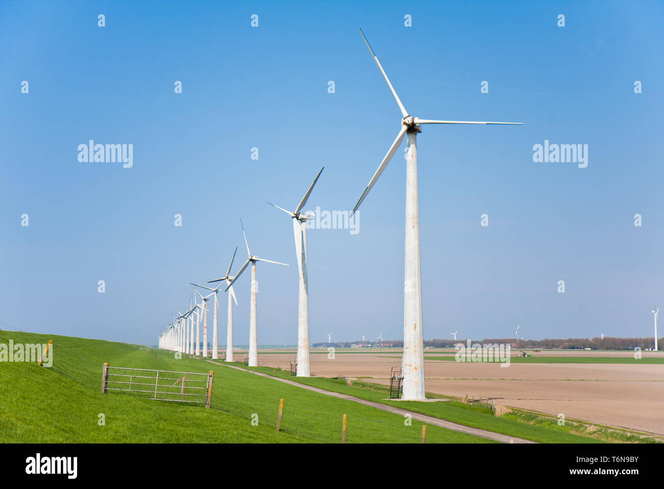 Mulini a vento in terreni agricoli olandese Foto Stock