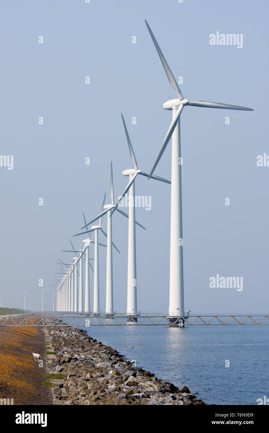 Sulle turbine eoliche offshore nel Mare olandese Foto Stock
