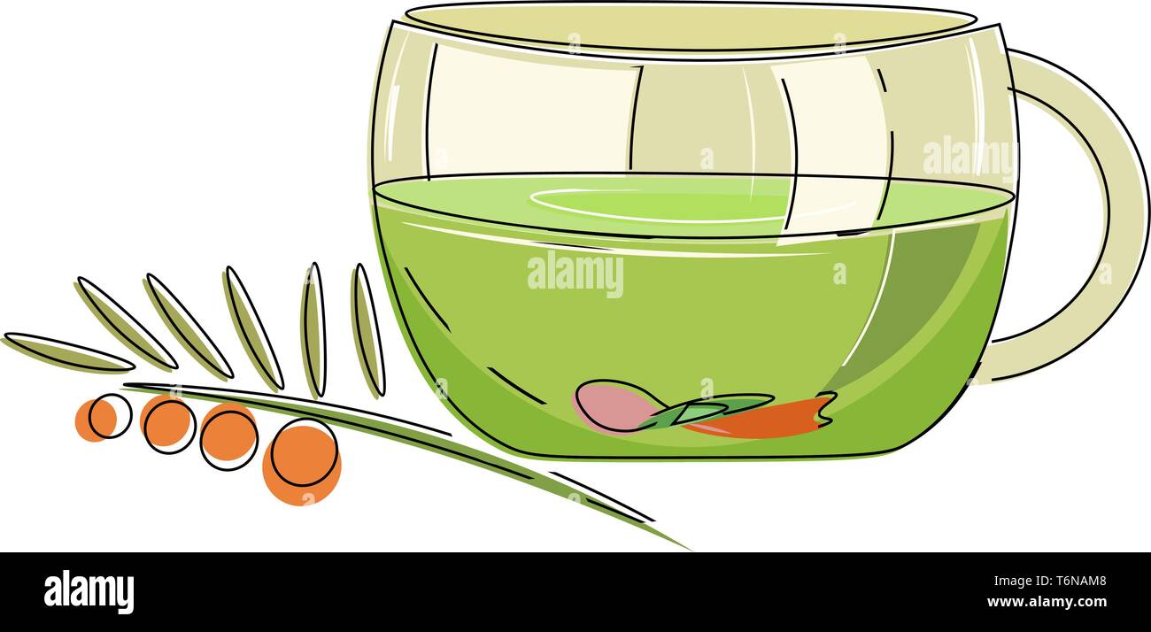 Una tazza di tè alle erbe in verde e trasparente del vettore di colore  colore di disegno o illustrazione Immagine e Vettoriale - Alamy