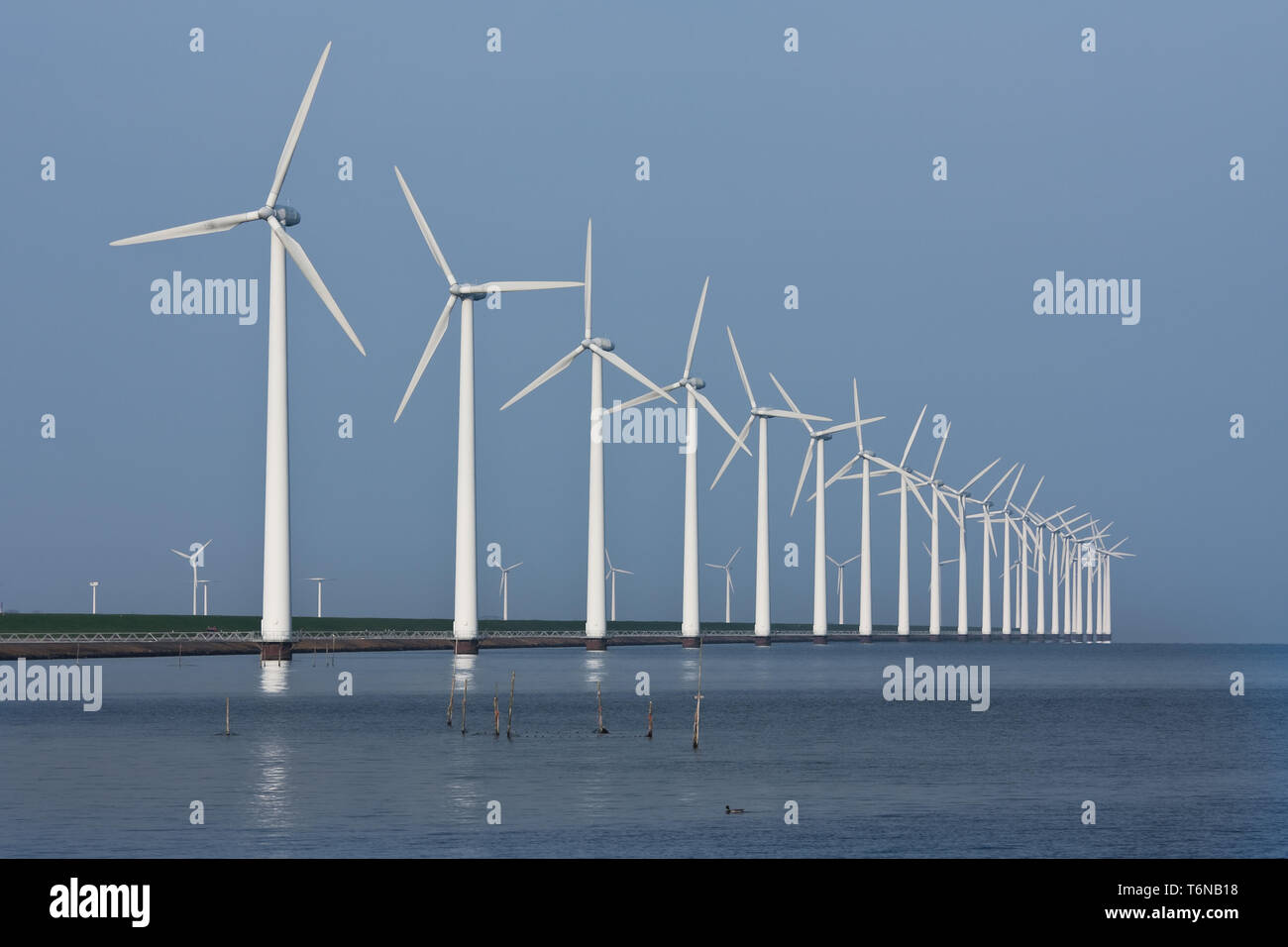 Fila di mulini a vento, che si specchia nel mare olandese Foto Stock