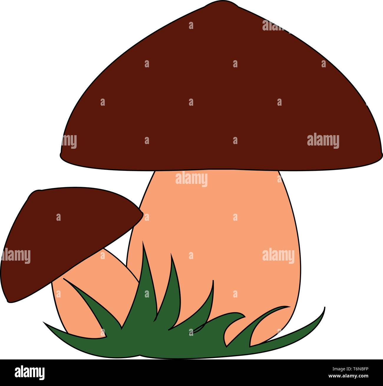 Due graziosi funghi su un giardino con due diverse dimensioni del vettore di disegno a colori o illustrazione Illustrazione Vettoriale