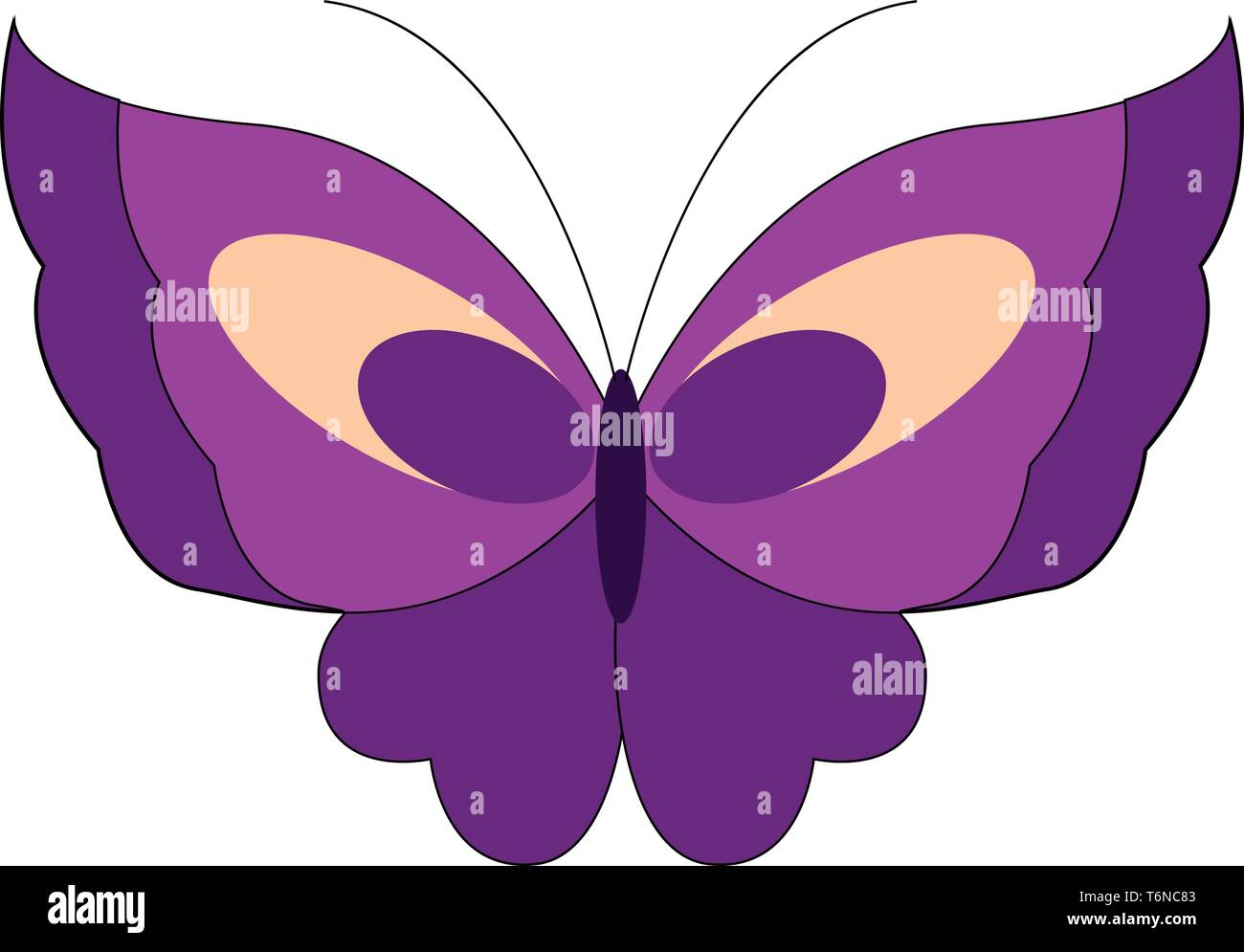 Etichette Per Bomboniere A Farfalla Modificabili Etichette - Foto 4