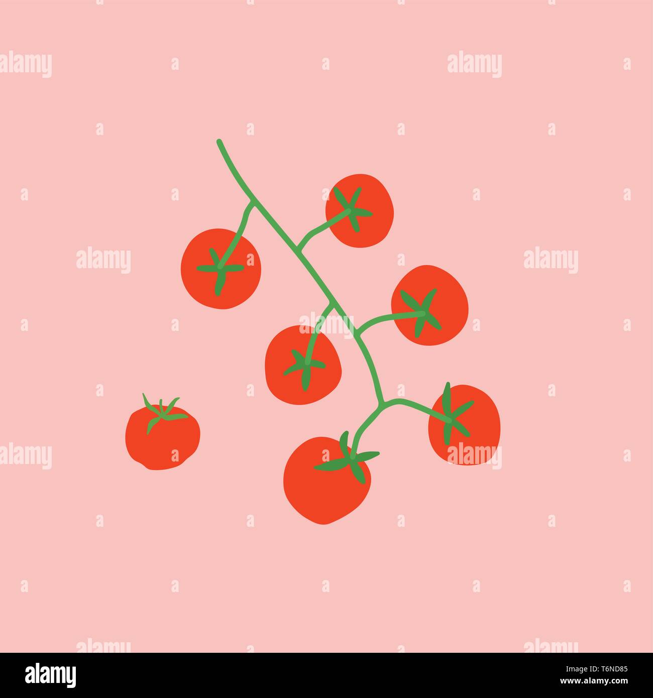 Un grappolo di pomodori che è completamente maturo e vettore di dolci il colore di disegno o illustrazione Illustrazione Vettoriale