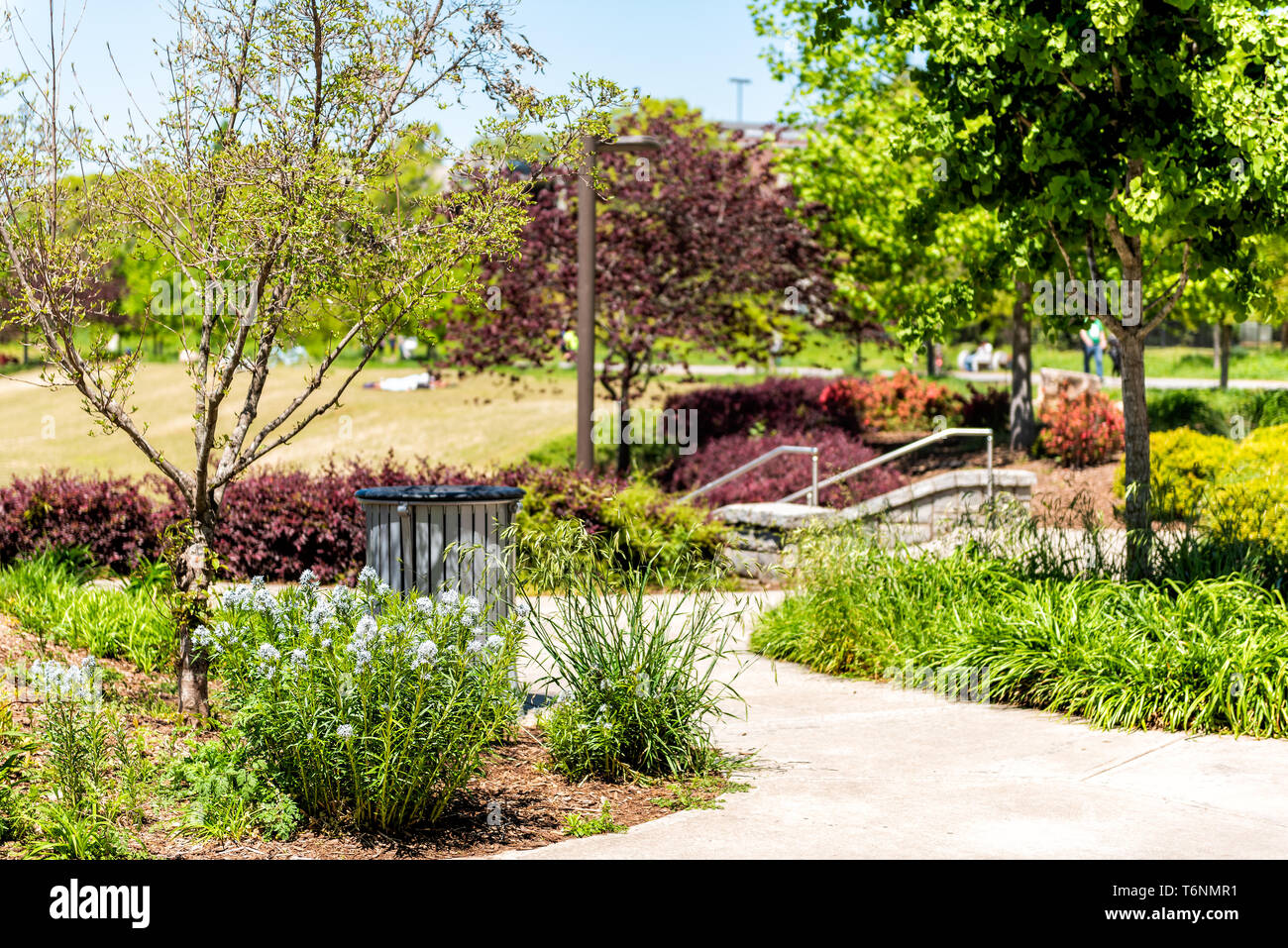 Atlanta, Stati Uniti d'America storica quarta Ward skatepark skate park in Georgia il centro con il verde e il rosso piante di alberi nella pittoresca città urbana greenspace Foto Stock