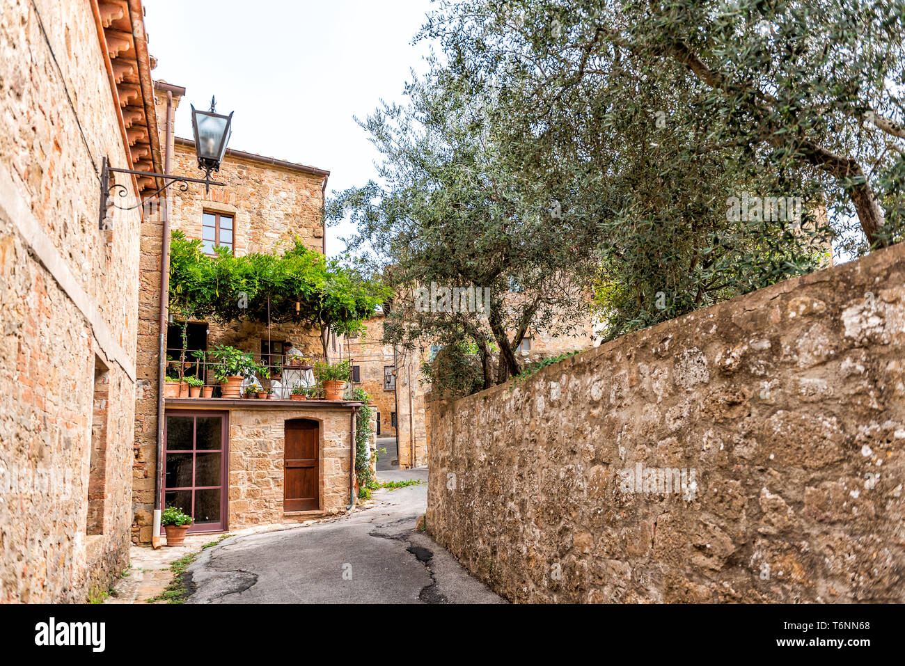 Monticchiello, Italia Val D'Orcia campagna in Toscana con vuoto vicolo di strada nel piccolo centro abitato con nessuno e piante verdi giardino Foto Stock