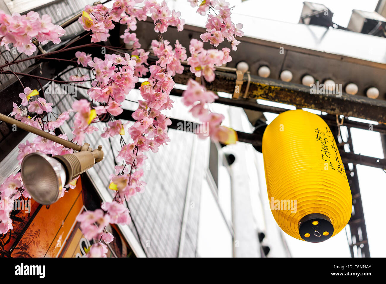 Tokyo, Giappone - 29 Marzo 2019: Memory lane alley con la fioritura dei ciliegi sakura decorazioni e carta gialla lampada con nessuno nella zona di Shinjuku di città Foto Stock