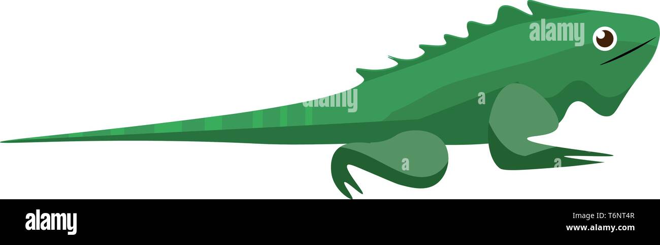 Green Iguana Iguana iguana una grande essenze arboree più comunemente sia erbivori specie di lucertola del genere Iguana e considerato una specie invasive v Illustrazione Vettoriale