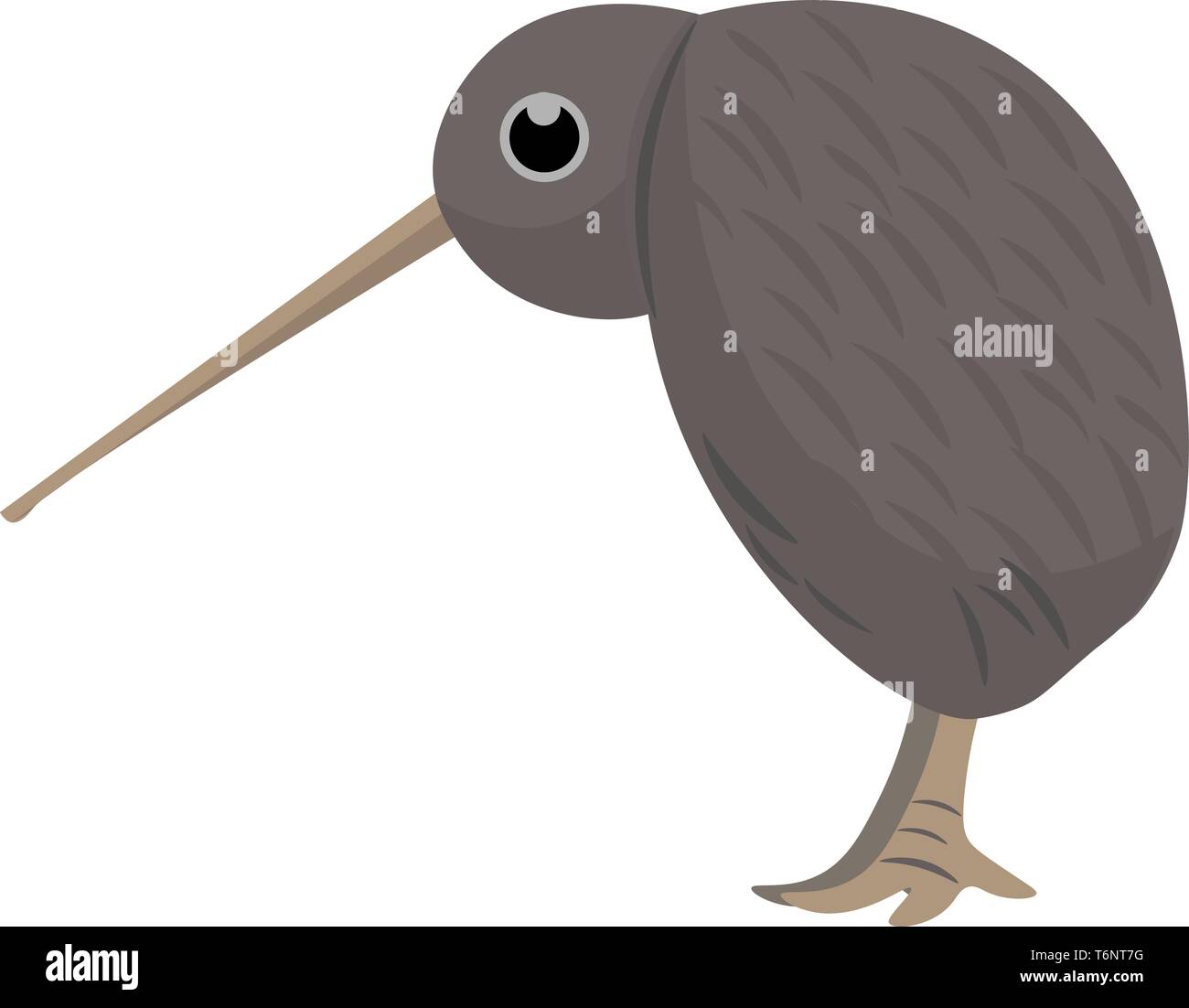 Clipart del kiwi uccello marrone con un lungo becco esprime tristezza permanente, mentre con la sua testa piegata verso il basso in cerca di preda vettore di assorbimento del colore Illustrazione Vettoriale