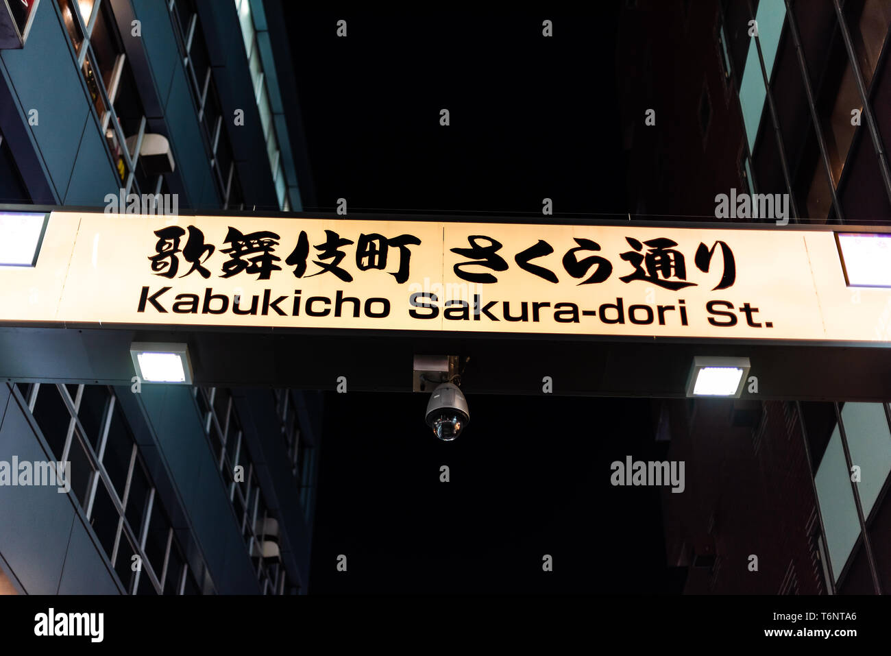 Shinjuku, Giappone famoso Kabukicho alley street il distretto a luci rosse nel centro città di Tokyo di notte con ingrandimento di segno in inglese e giapponese Foto Stock